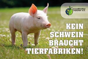 Kein_Schwein_braucht_Tierfabriken_-_600px_ee7debeac6