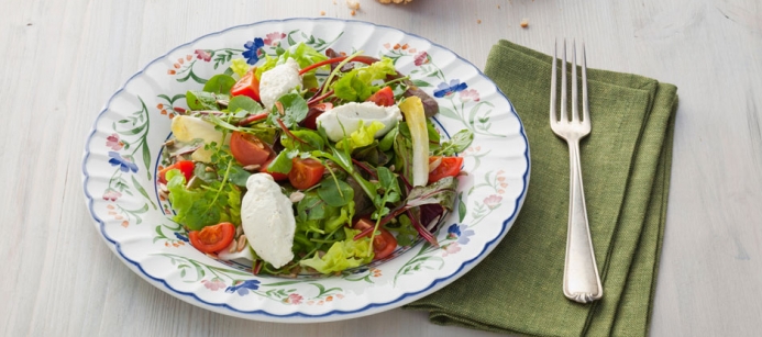 Wildkraeutersalat_mit_Bresso-Nocken_274_693x307