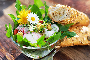 Knackiger Frühlingssalat